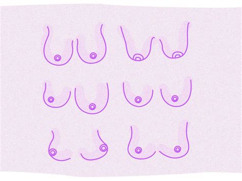 boob lineup|8 Types of Boobs in the World